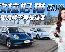 9体育-欧联冲刺阶段走向成谜，新奥尔良鹈鹕遗憾出局，信心回归，阵容厚度经受考验(无尽的拉格朗日最新天梯图)